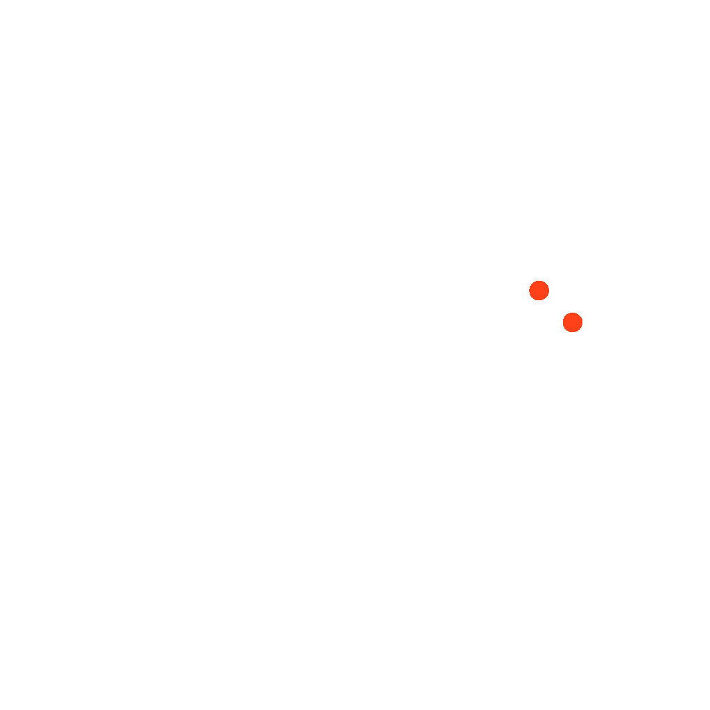 tortoise